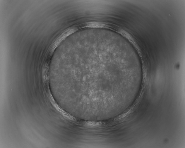 X0000116051049200912111459