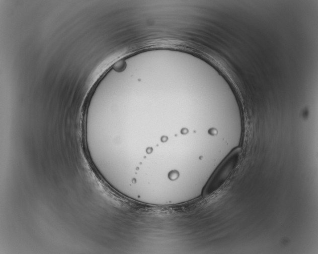 X0000116051050200912111459
