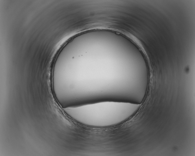X0000116051051200912111459