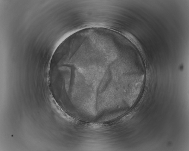 X0000116051052200912111459