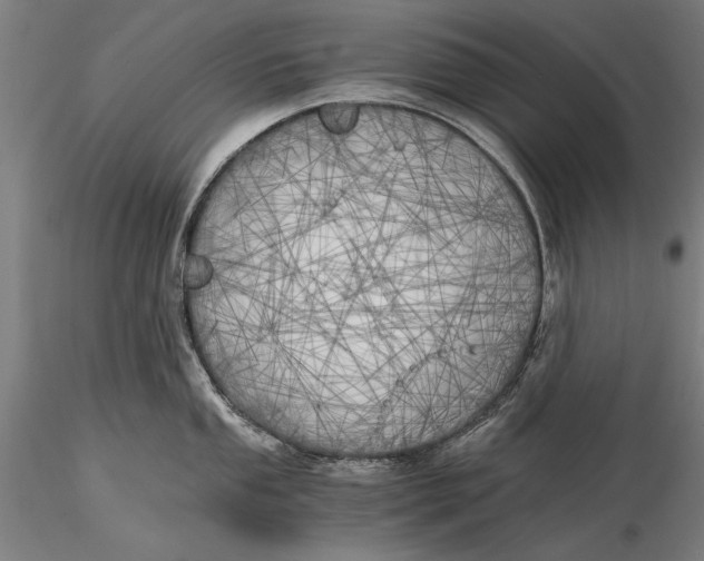 X0000116051053200912111459
