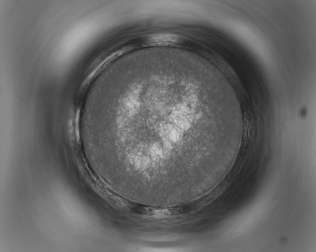 X0000116051054200912111459