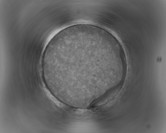 X0000116051056200912111500