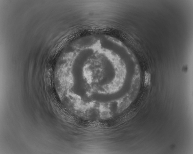 X0000116051059200912111458