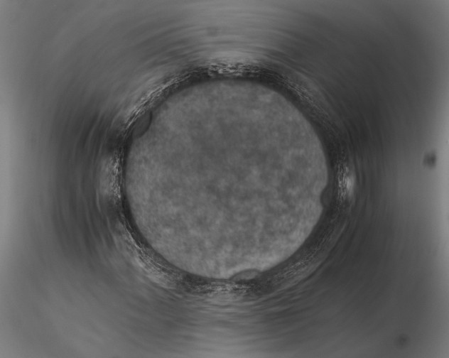 X0000116051060200912111458