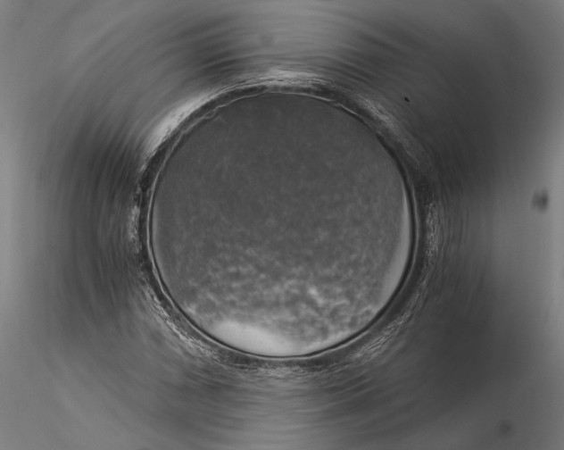 X0000116051066200912111458