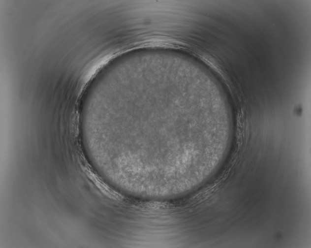 X0000116051067200912111458