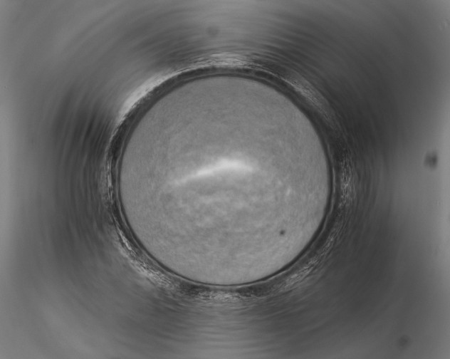 X0000116051070200912111458
