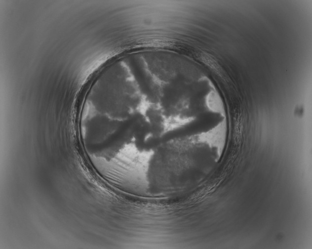 X0000116051071200912111458