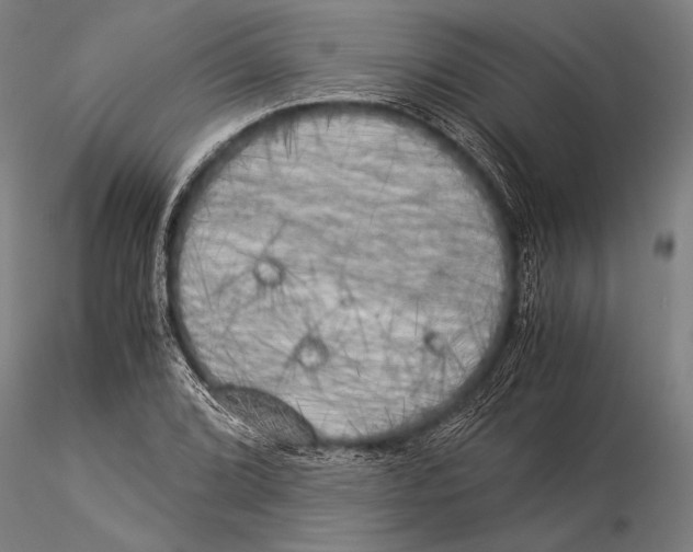 X0000116051072200912111458