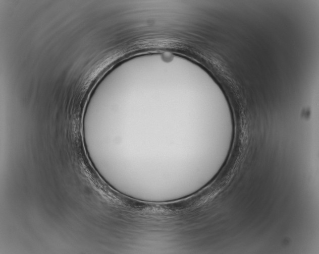 X0000116051073200912111458