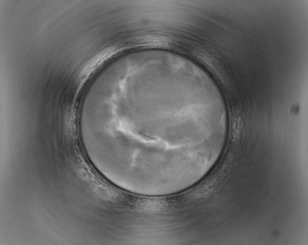 X0000116051074200912111458
