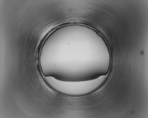 X0000116051075200912111458