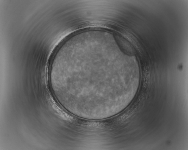 X0000116051076200912111458