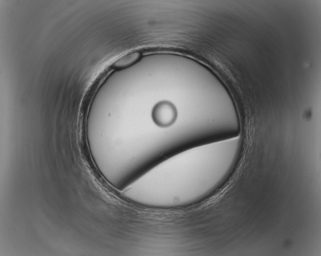 X0000116051077200912111458