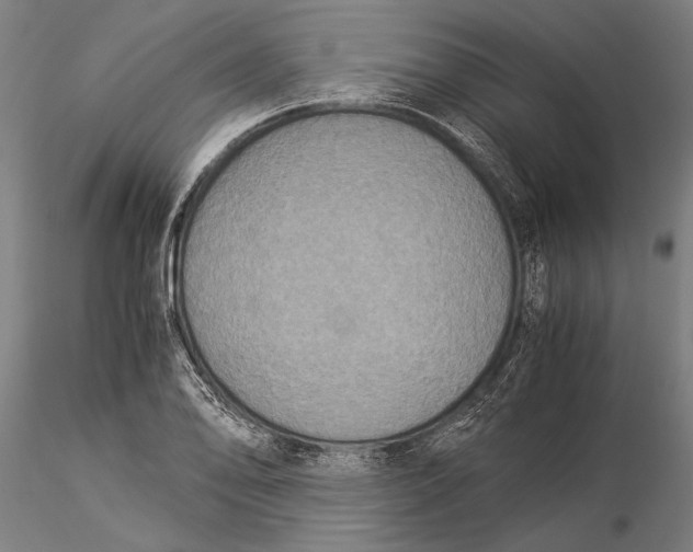 X0000116051078200912111458