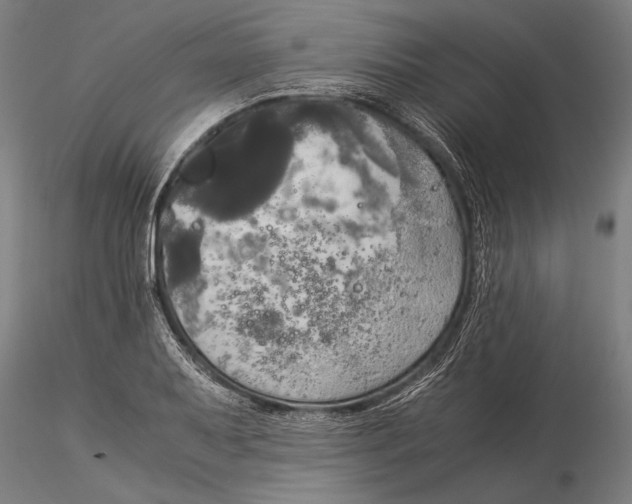 X0000116051079200912111458