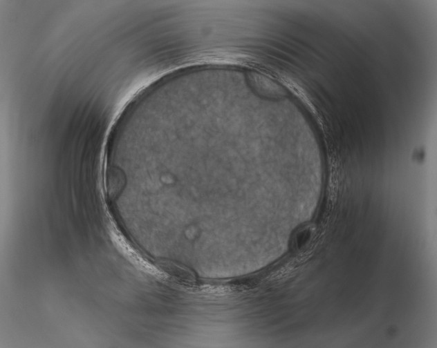 X0000116051080200912111458