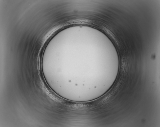 X0000116051082200912111458