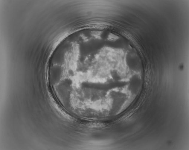 X0000116051083200912111458