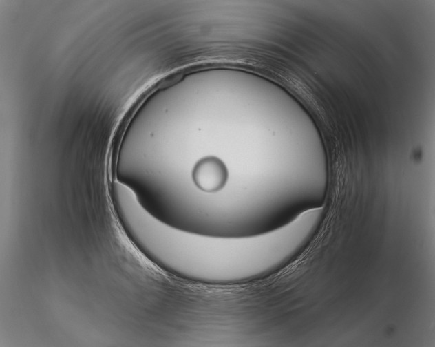 X0000116051084200912111458