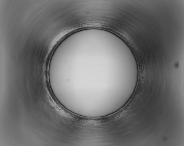 X0000116051086200912111458