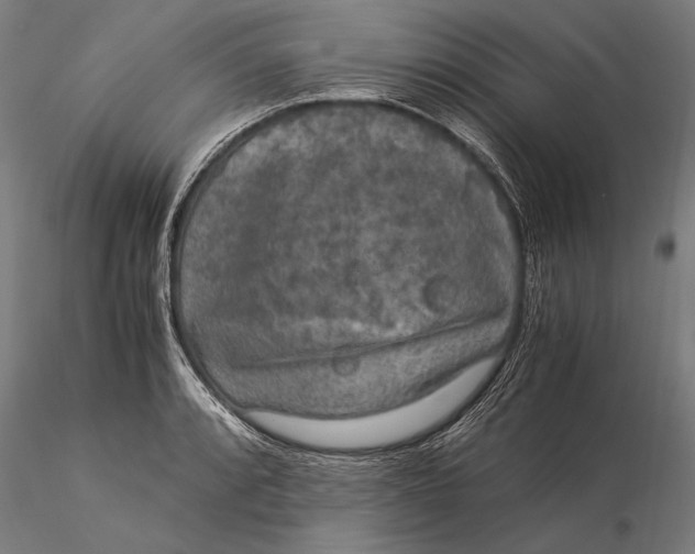 X0000116051088200912111458