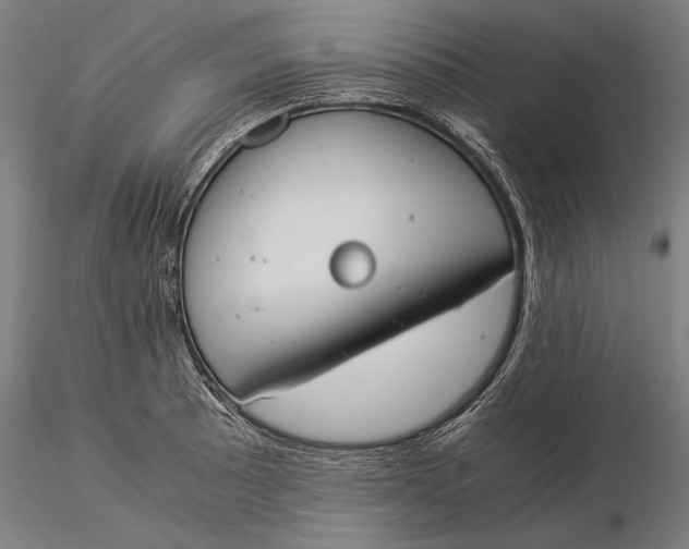 X0000116051089200912111458