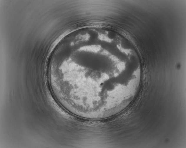 X0000116051091200912111458