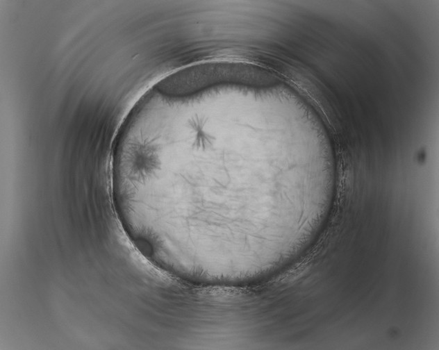 X0000116051092200912111458