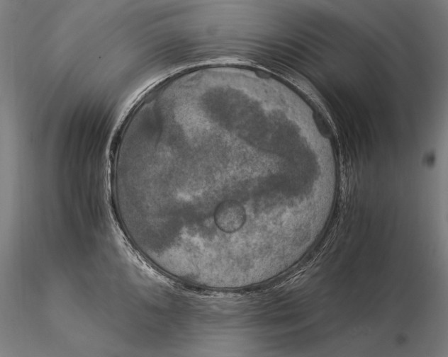 X0000116051096200912111458