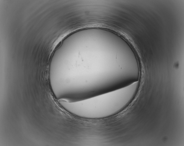 X0000116051097200912111458