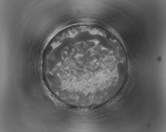 X0000116051099200912111458