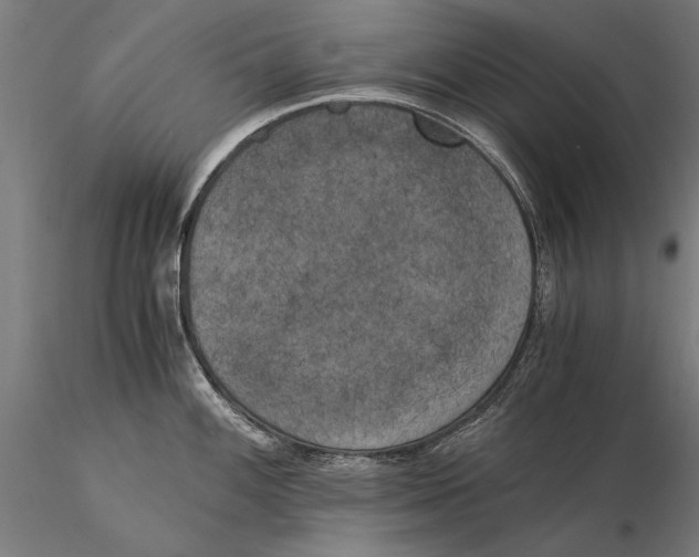 X0000116051100200912111458