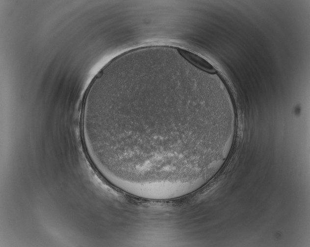 X0000116051102200912111458