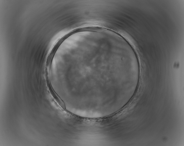 X0000116051104200912111458