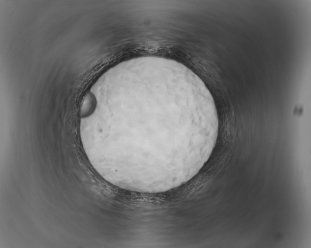 X0000116051105200912111457