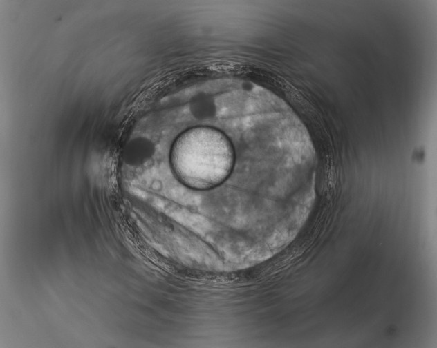 X0000116051106200912111457