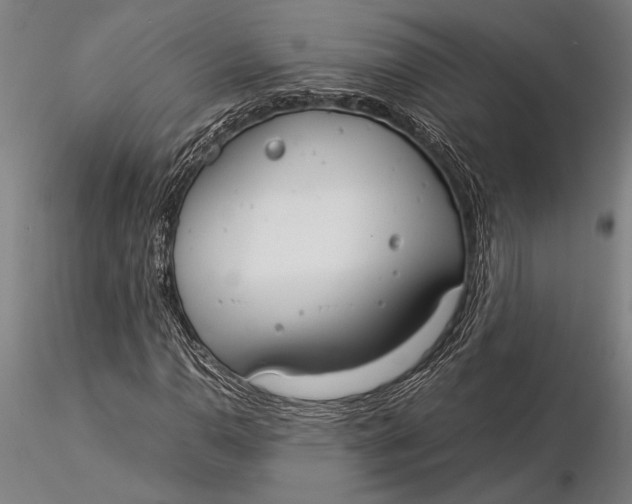 X0000116051110200912111457