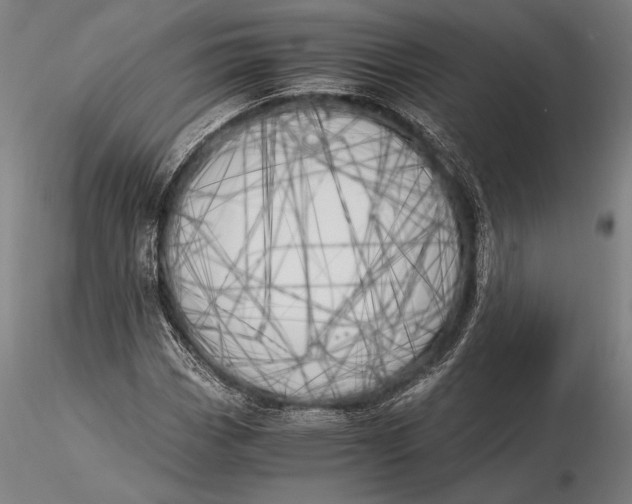 X0000116051113200912111457