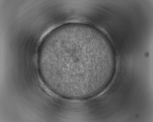 X0000116051114200912111457
