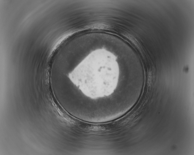 X0000116051115200912111457