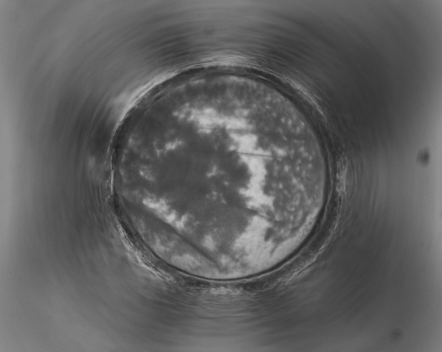 X0000116051117200912111457