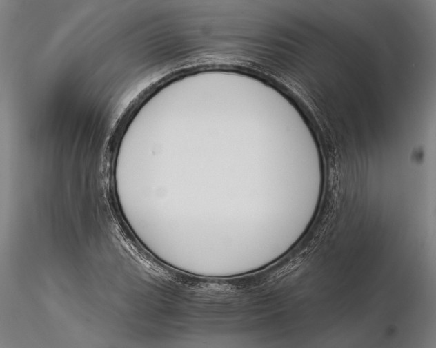 X0000116051119200912111457