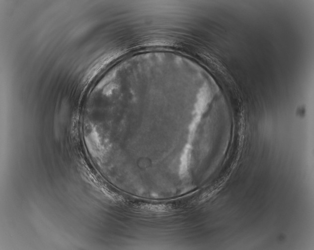 X0000116051121200912111457