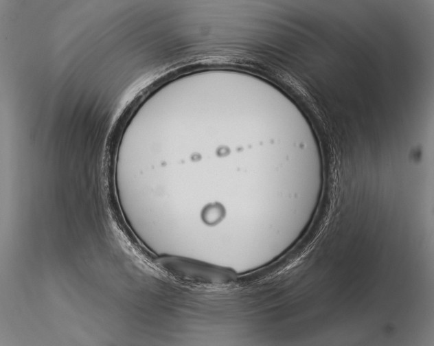 X0000116051122200912111457