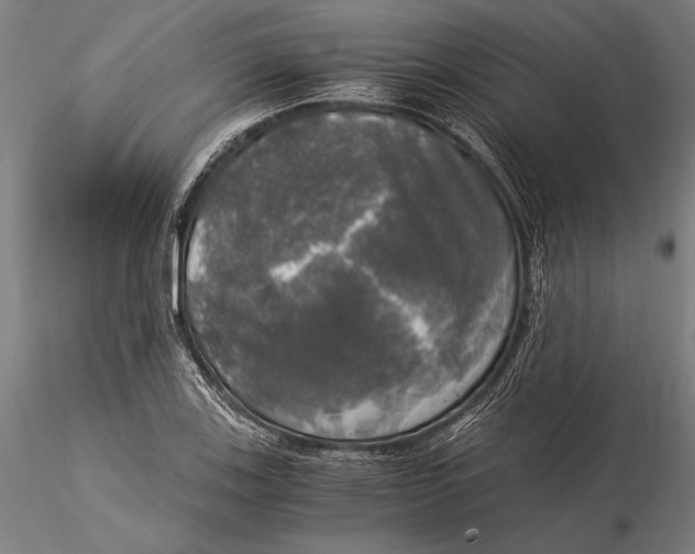 X0000116051123200912111457
