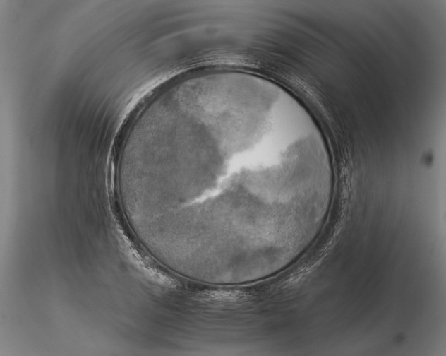 X0000116051125200912111457