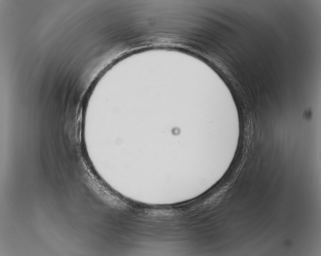 X0000116051126200912111458