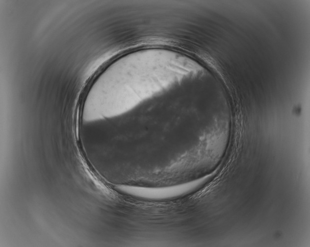 X0000116051127200912111458
